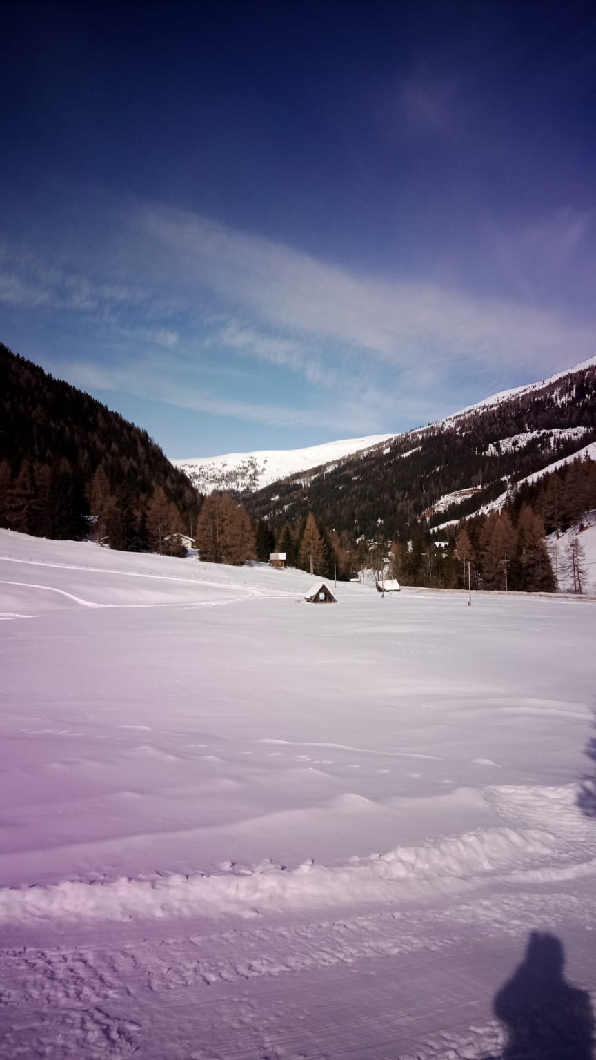 e0bd7f4e-a480-4551-abed-38c4d84c22d7