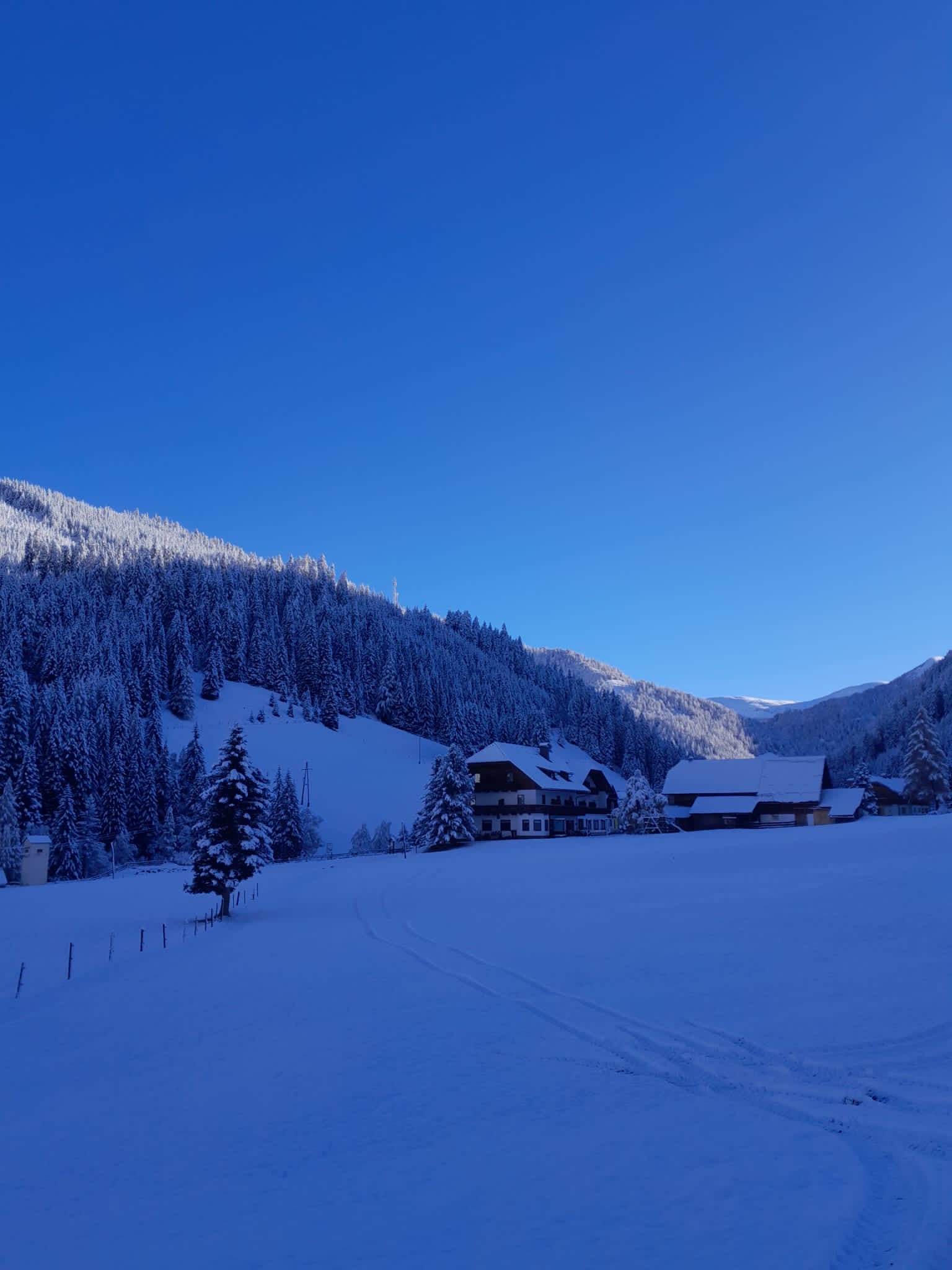 e2a43393-3664-46c5-ad3a-e4a97efacfbb