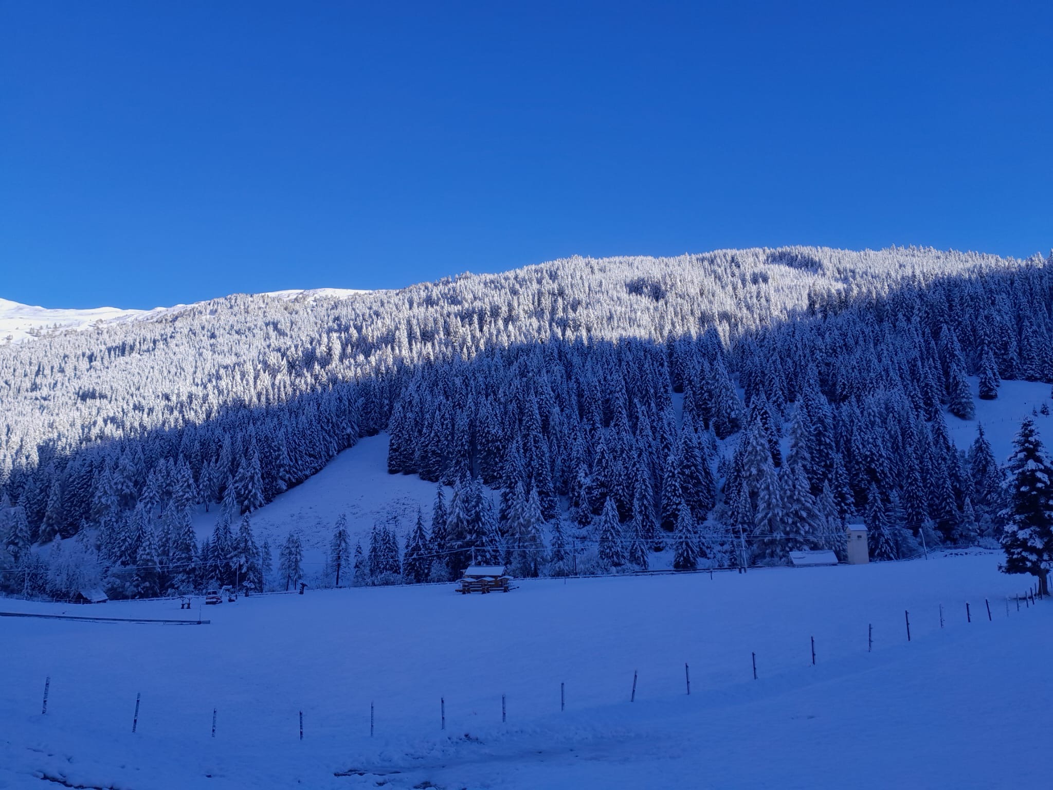 f62a3d38-2cf9-4f78-9961-e03026a0bcef