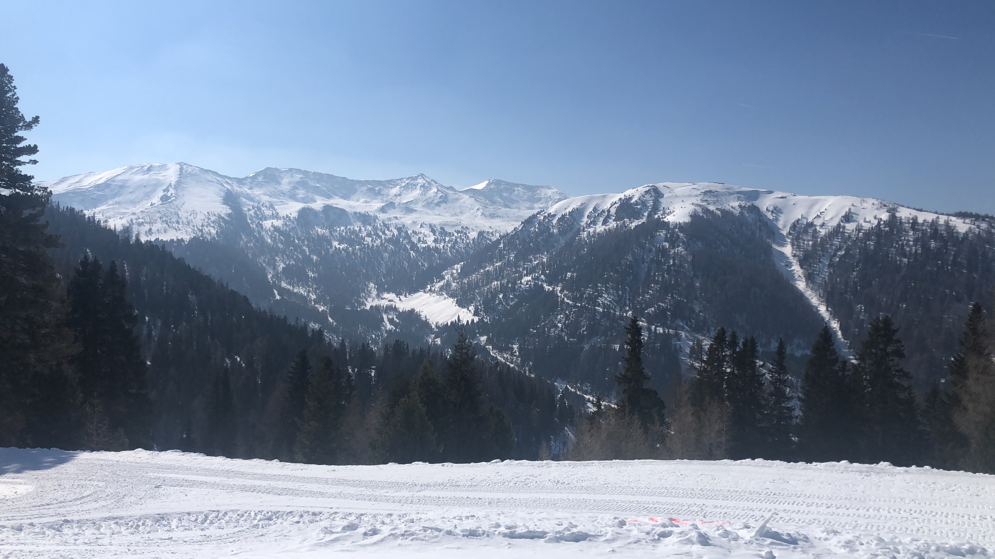 233F7B45-21B3-48BE-A506-FEF9D5E682F8