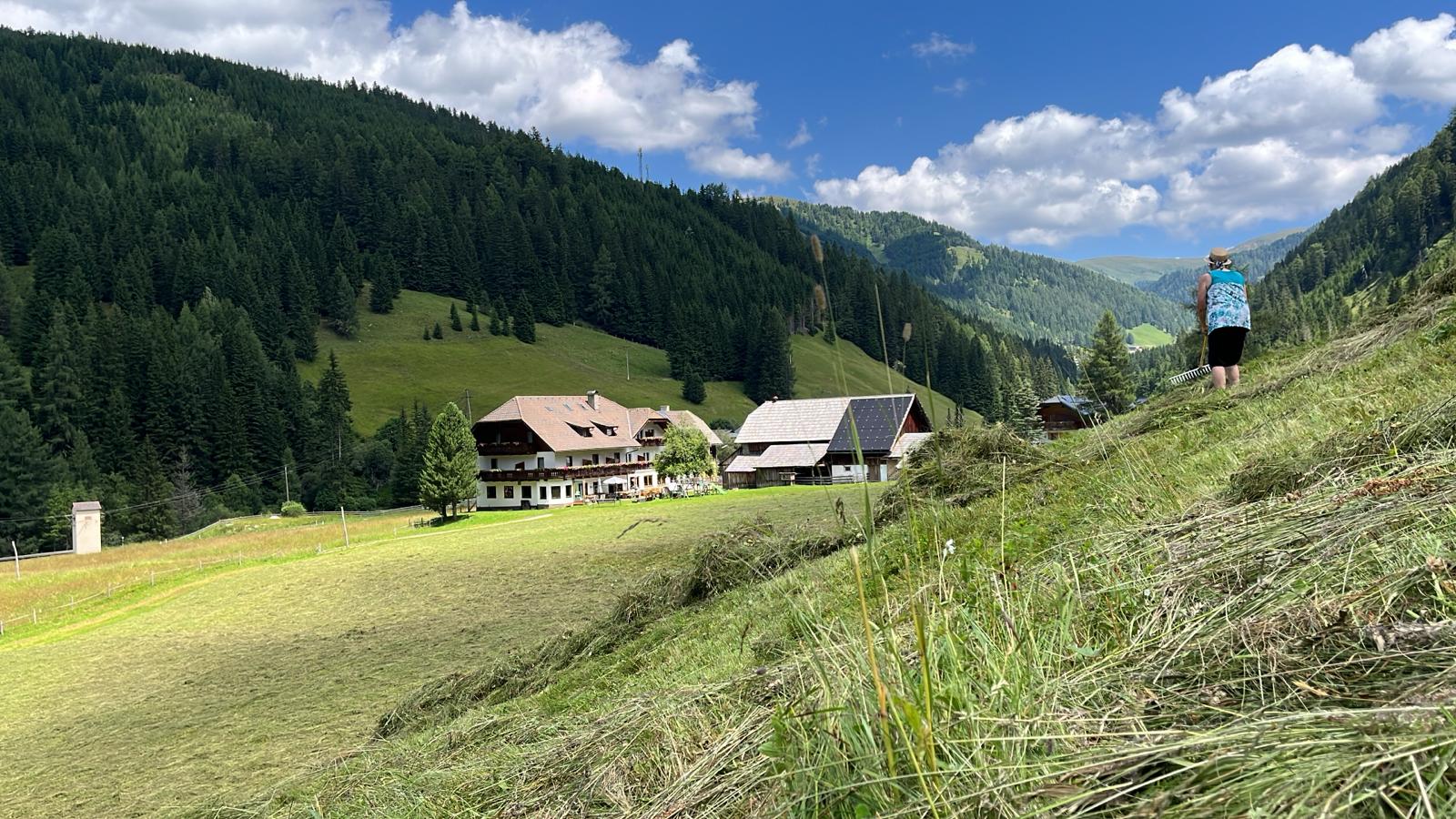 d7b9f981-1dbe-4396-93fb-4402bdb0f8bc